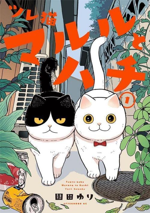 “MTsureneko: Maruru to Hachi “MTsureneko: Maruru to Hachi