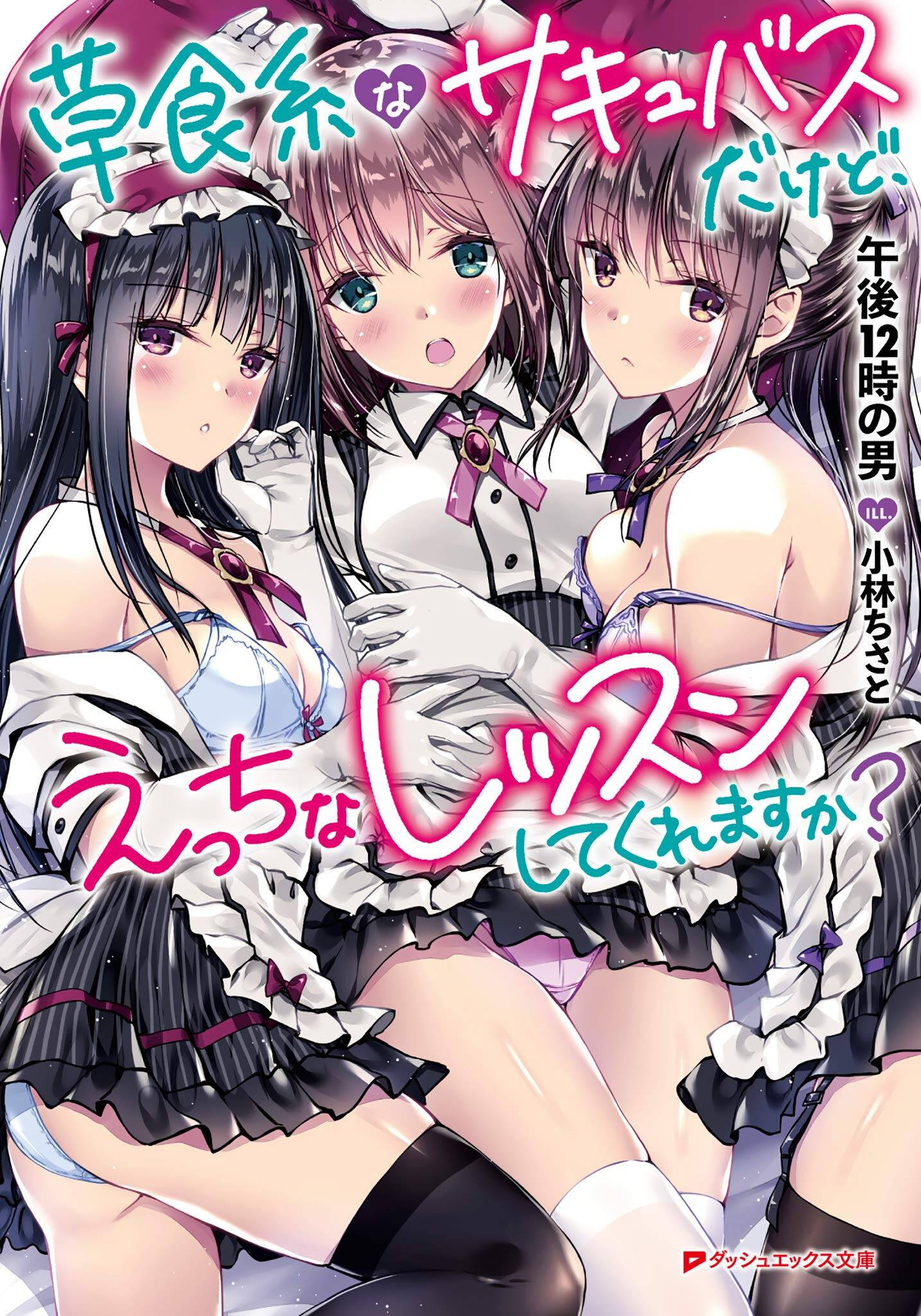 “MWe are a Passive Succubus, So Can You Give Us an Ecchi Lesson?